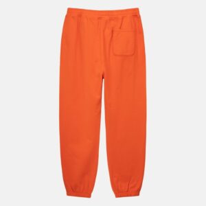 Estampado tenidos negro Pantalon Stussy
