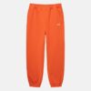 Estampado tenidos negro Pantalon Stussy