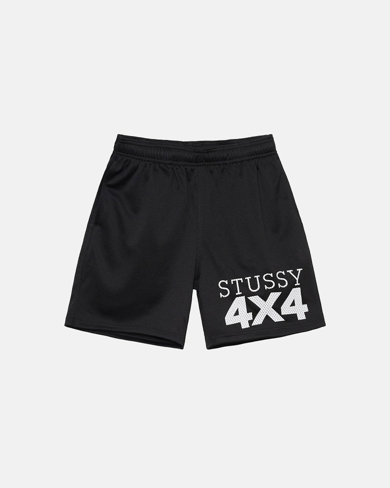 Pantalones cortos malla Short Stussy